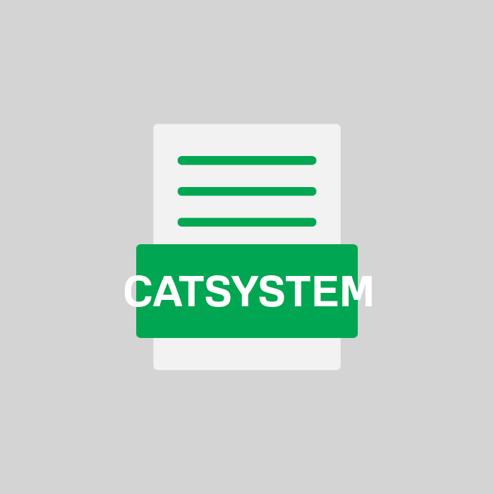 CATSYSTEM Endung