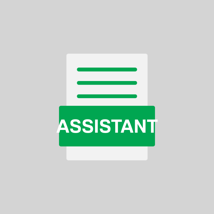 ASSISTANT Endung