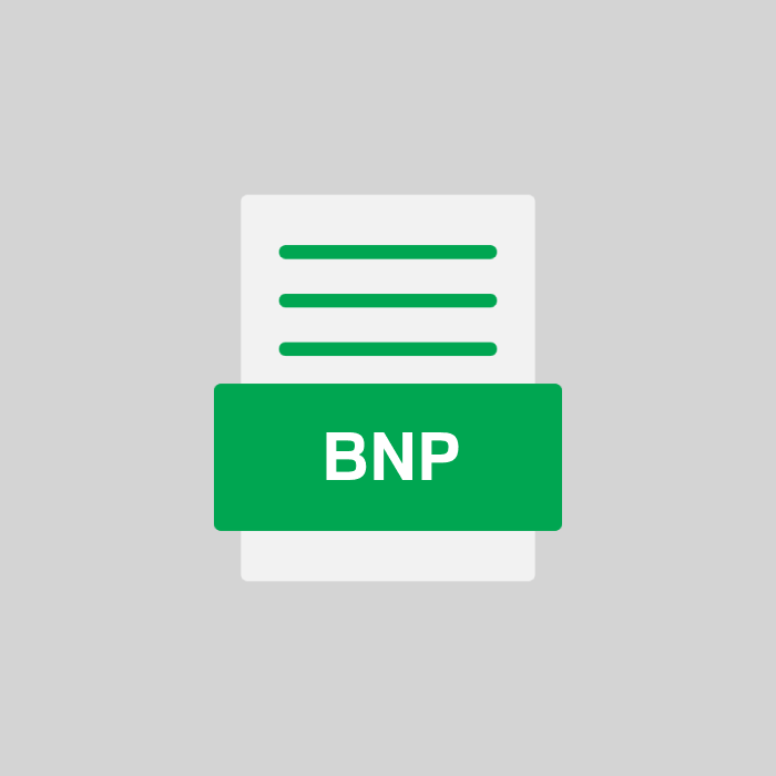 BNP Datei