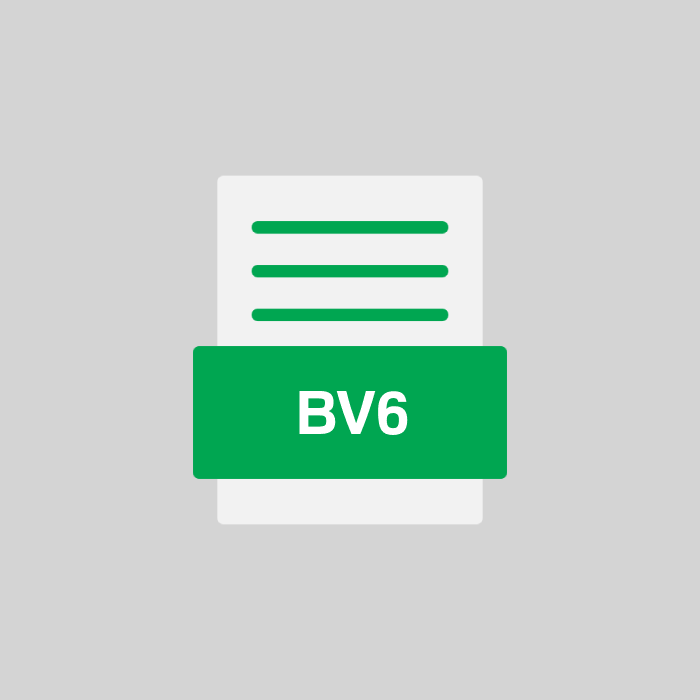 BV6 Endung