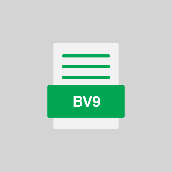 BV9 Endung