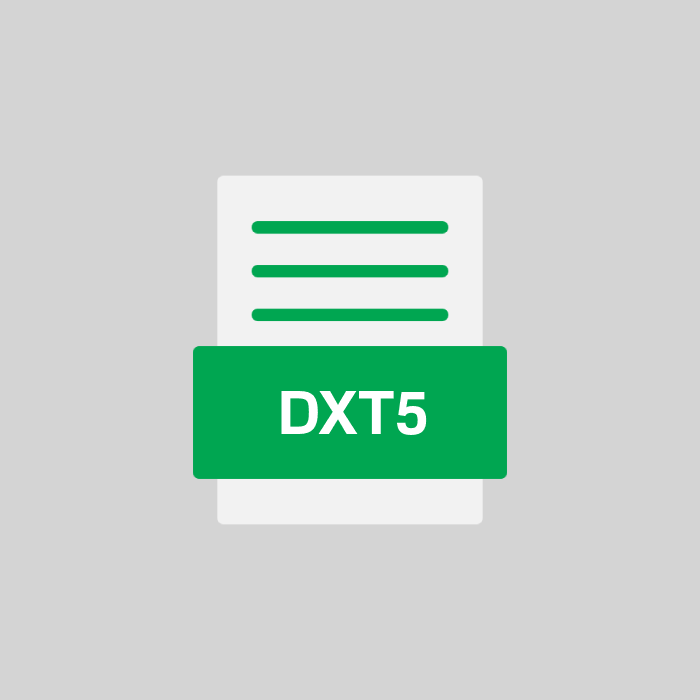 DXT5 Endung