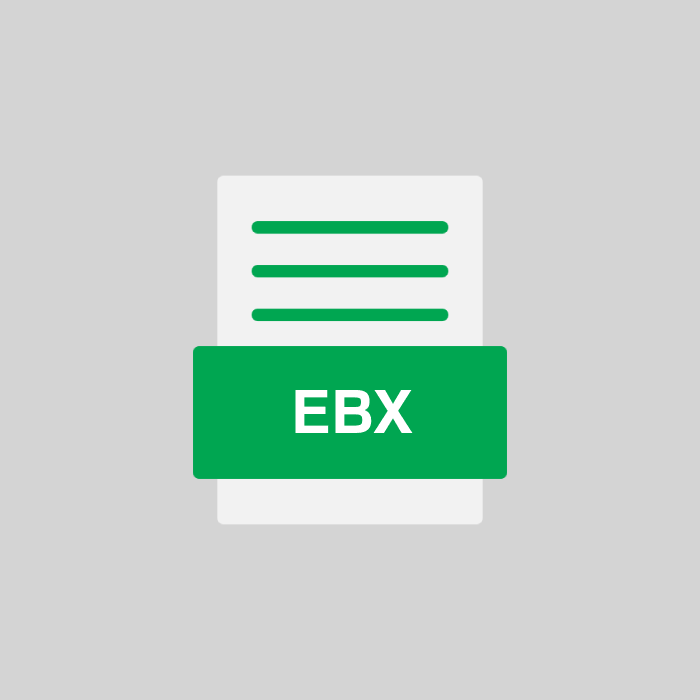 EBX Datei