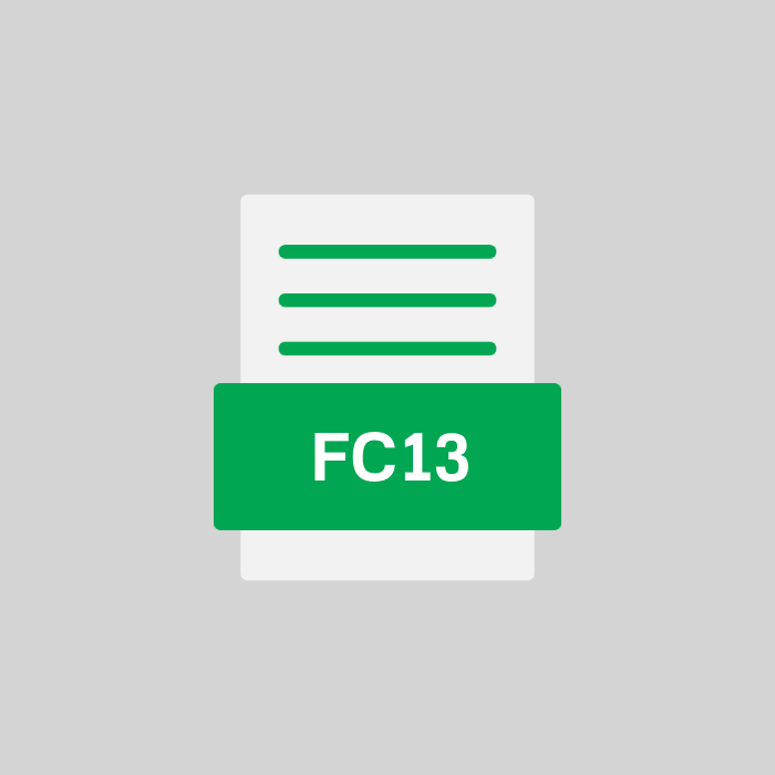 FC13 Endung