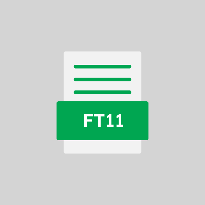 FT11 Datei