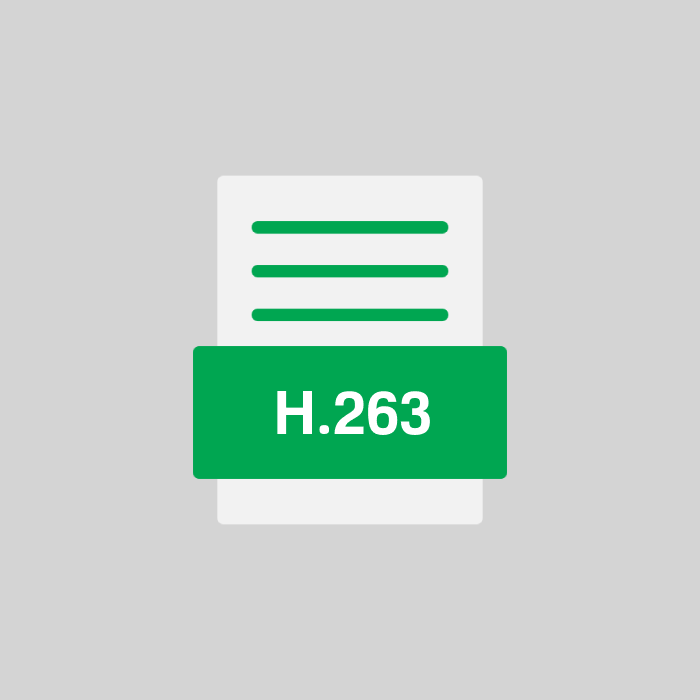 H.263 Endung