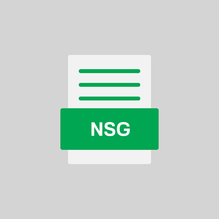 NSG Datei
