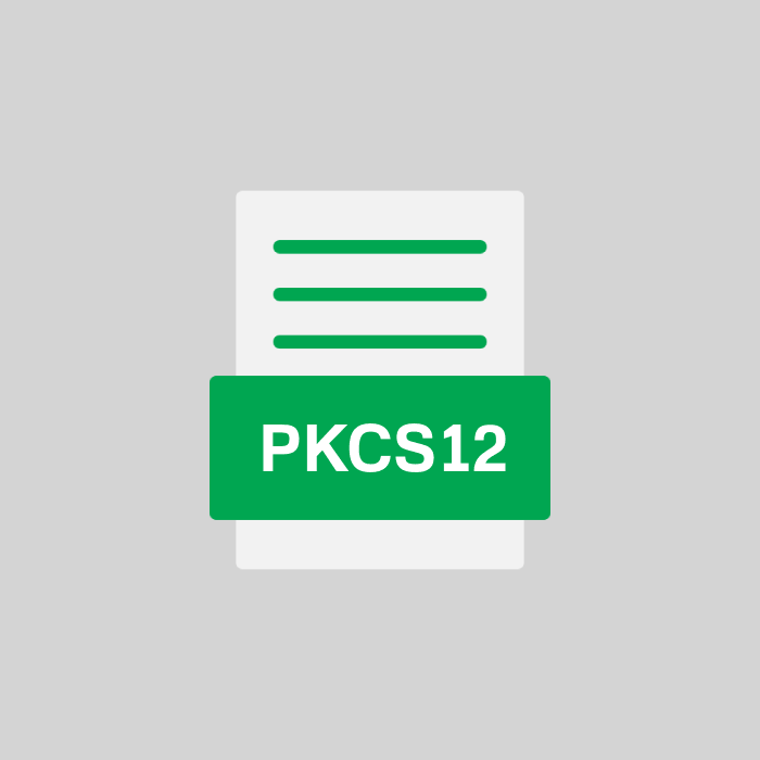 PKCS12 Endung