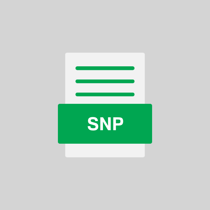 SNP Datei