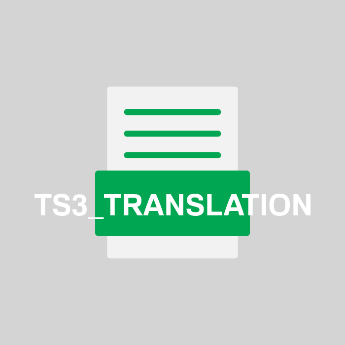 TS3_TRANSLATION Endung