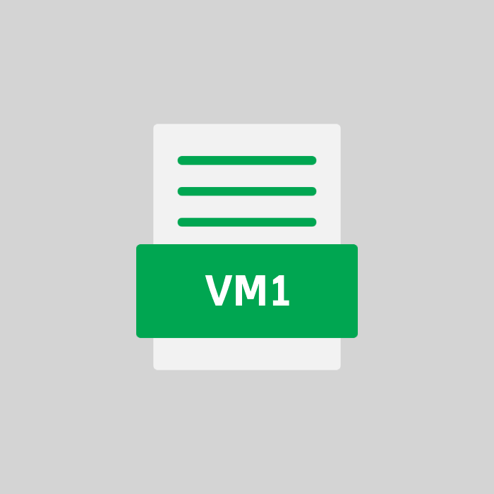 VM1 Datei