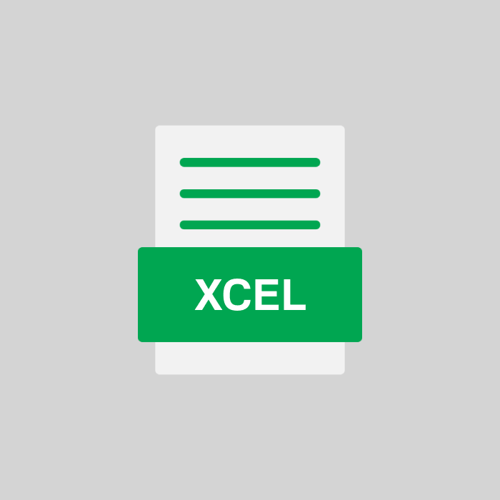 XCEL Datei