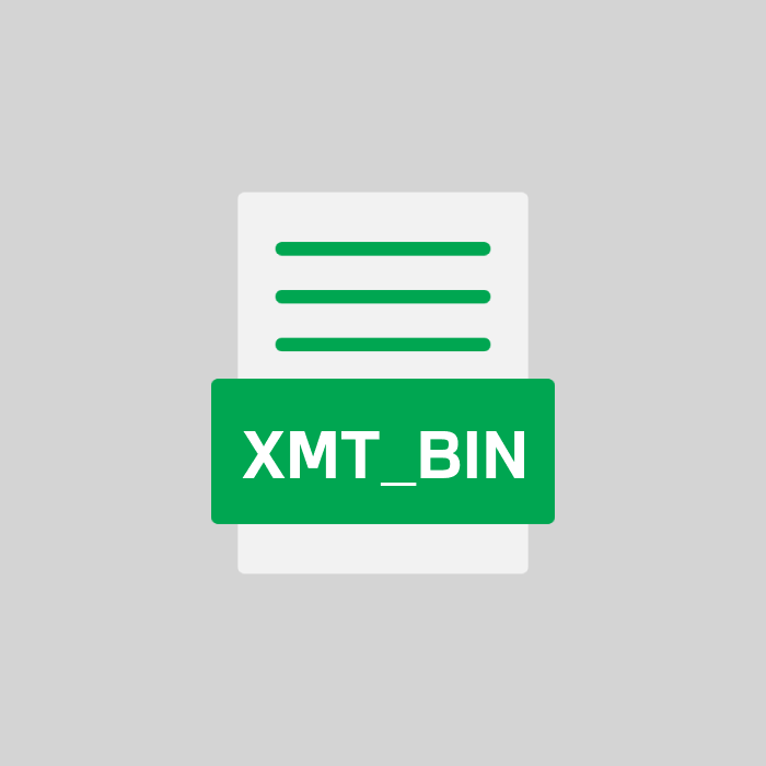 XMT_BIN Endung