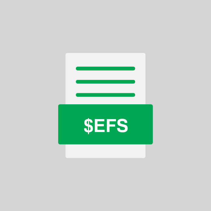 $EFS Endung