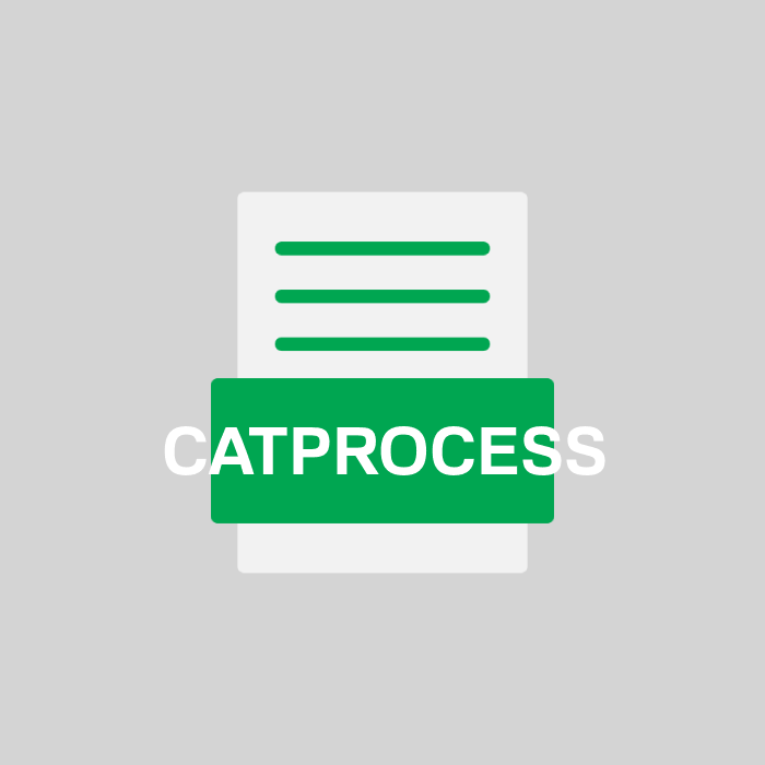 CATPROCESS Endung