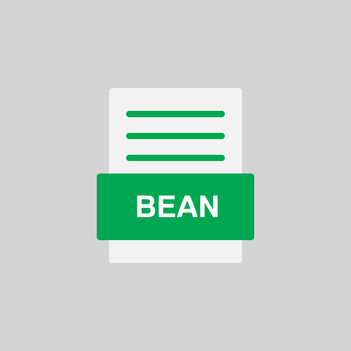 BEAN Datei