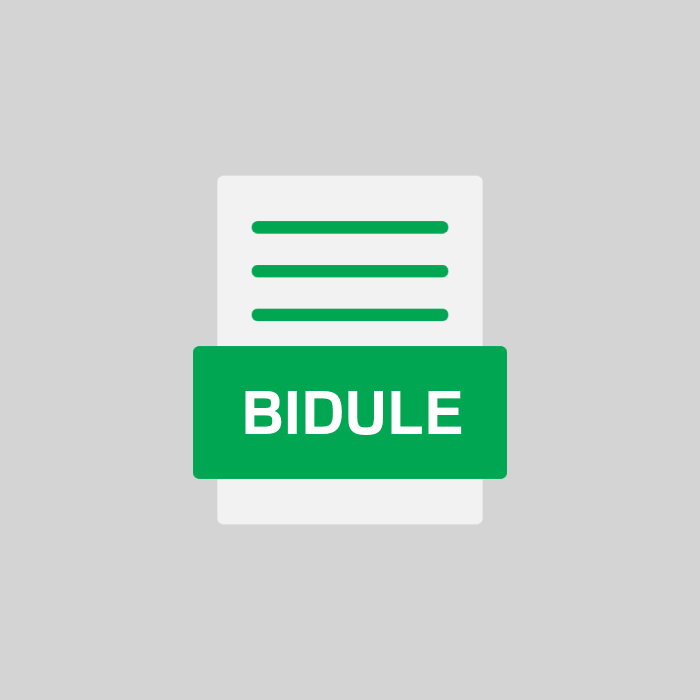 BIDULE Endung