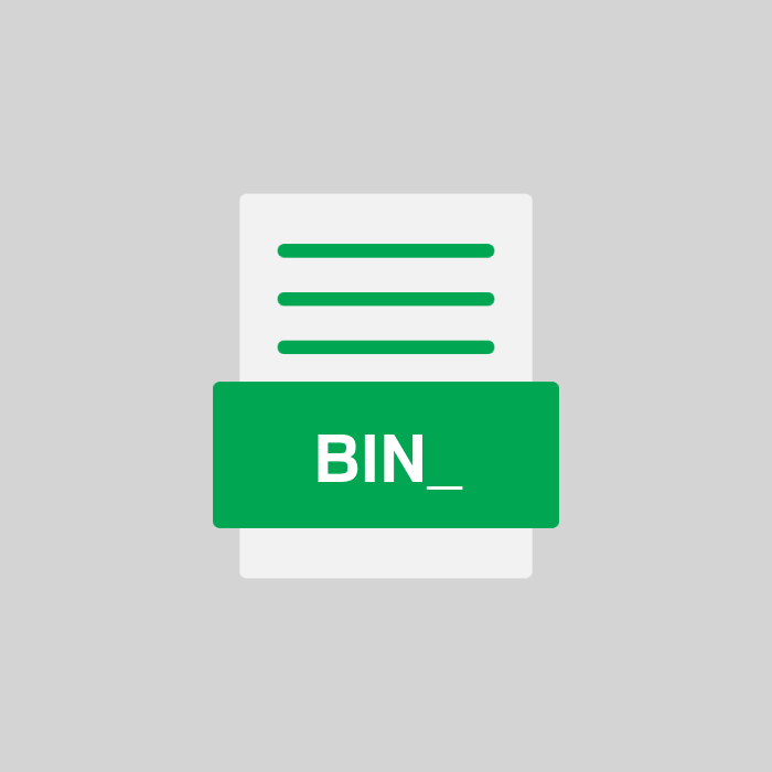 BIN_ Endung