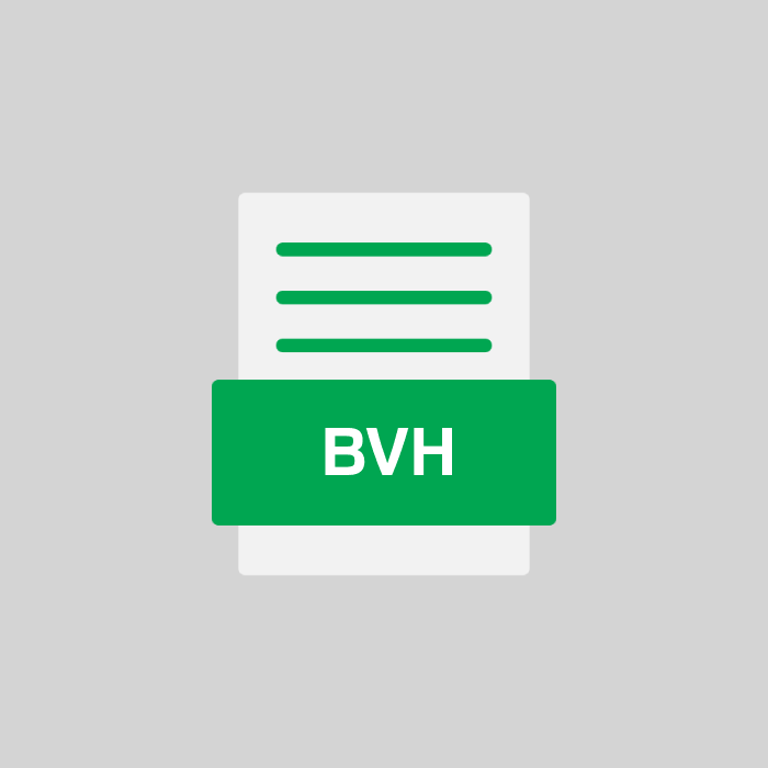 BVH Datei