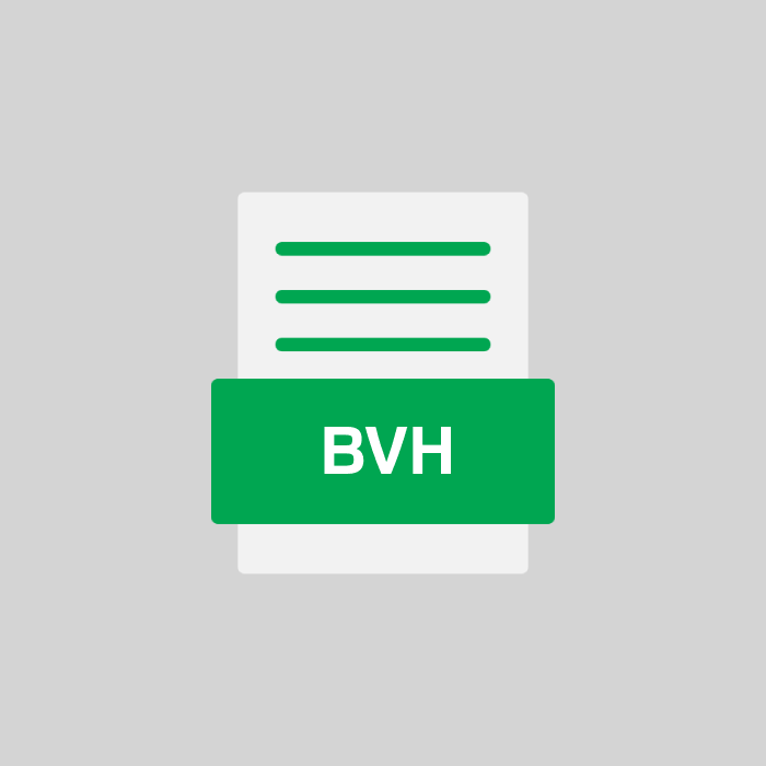 BVH Endung