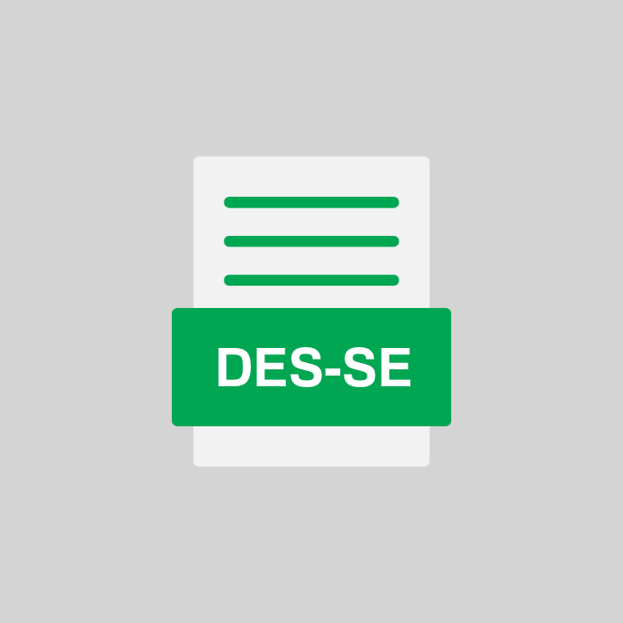 DES-SE Endung