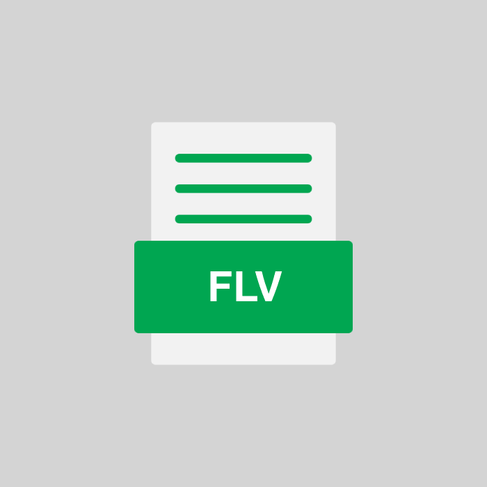 FLV Datei