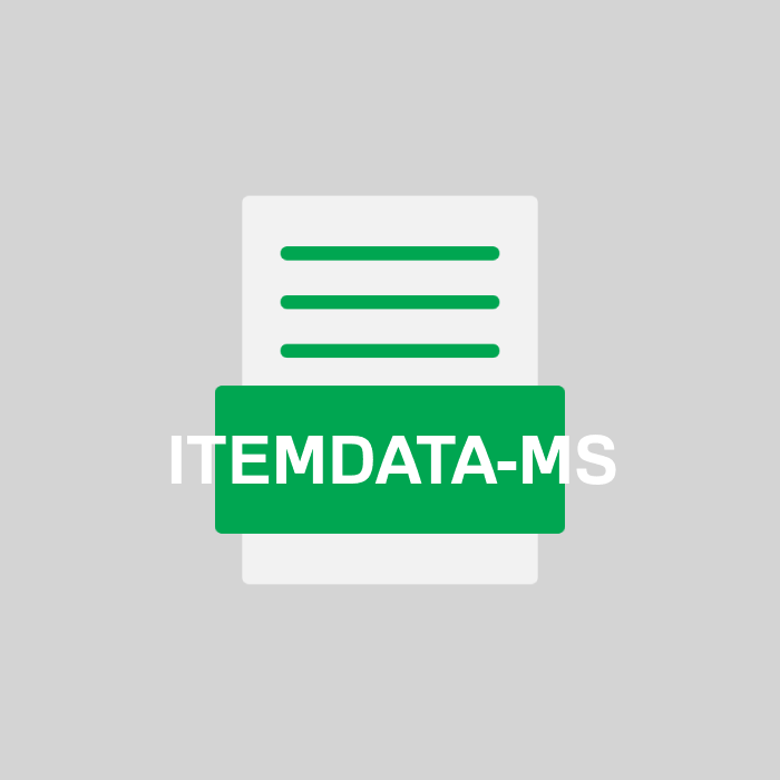 ITEMDATA-MS Endung