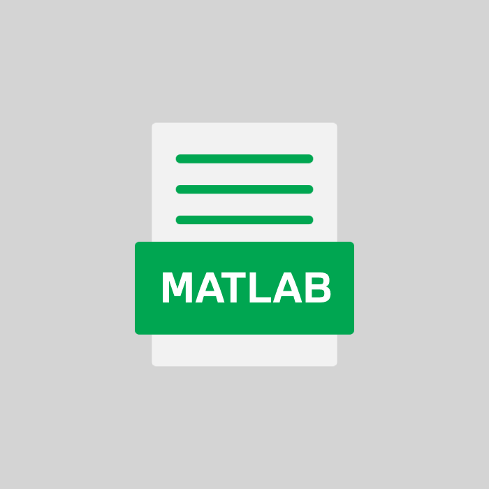 MATLAB Endung