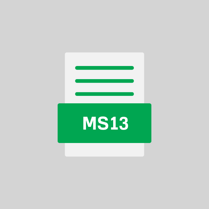 MS13 Endung