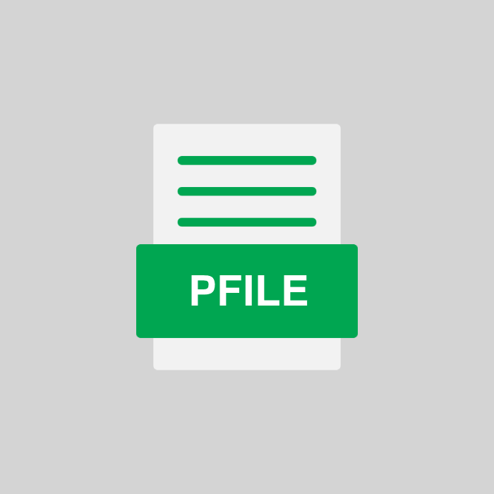 PFILE Endung