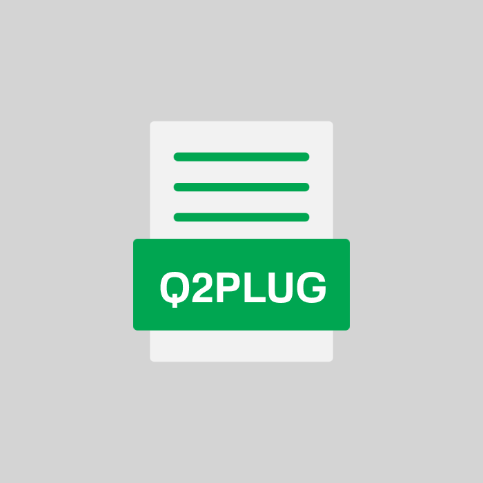 Q2PLUG Endung