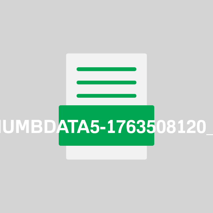 THUMBDATA5-1763508120_12 Endung