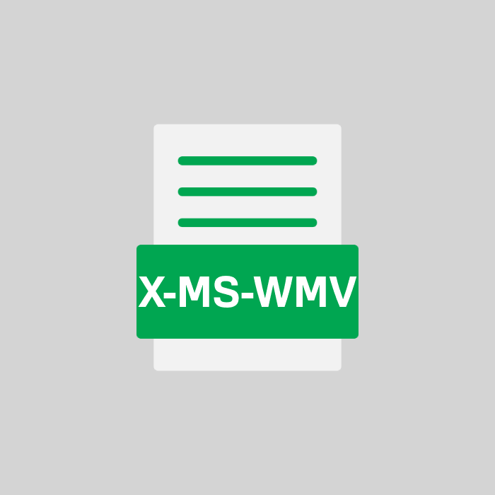 X-MS-WMV Endung