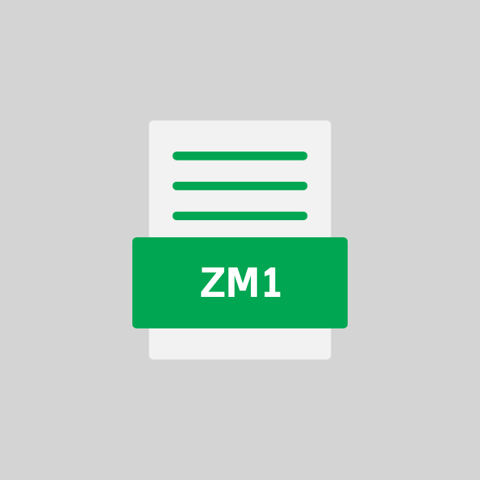ZM1 Endung