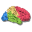 BrainVoyager