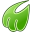 Midori